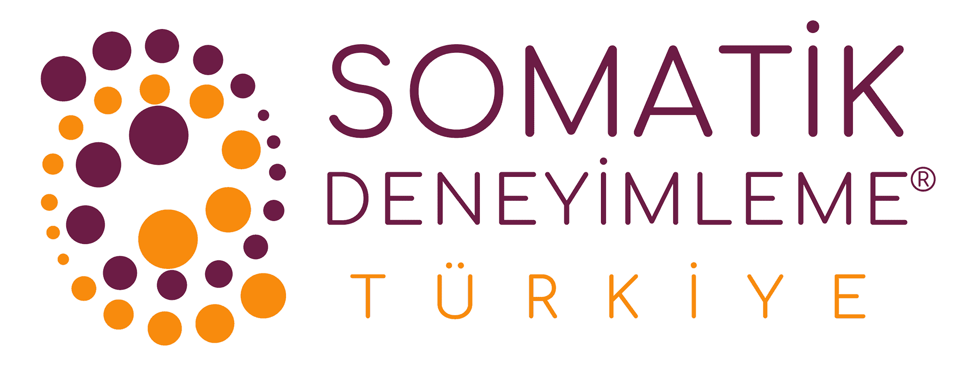 Somatik Deneyimleme ve Vestibüler Sistem: Bilimsel Bir İnceleme